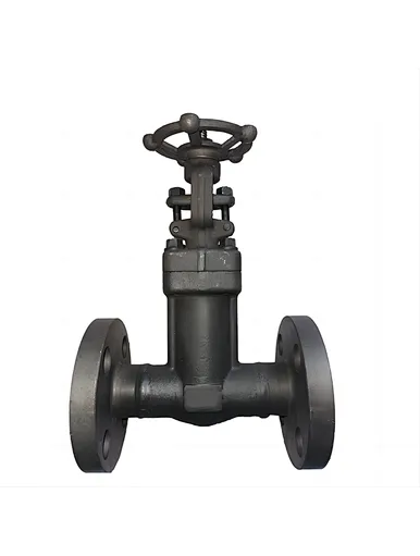 gate valve